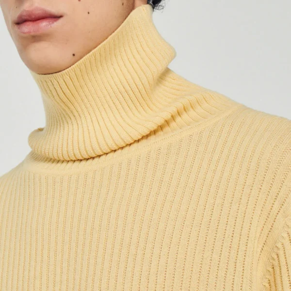 Shop Roll Neck Sweater Men Sweaters & Cardigans